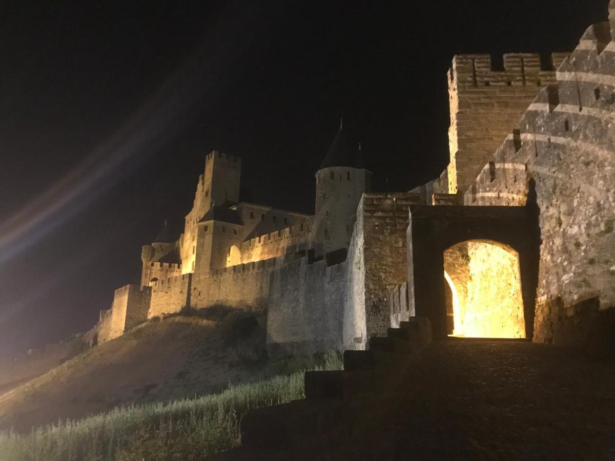 Le Clos Saint Michel Carcassonne Exterior foto