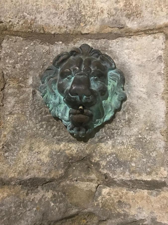 Le Clos Saint Michel Carcassonne Exterior foto