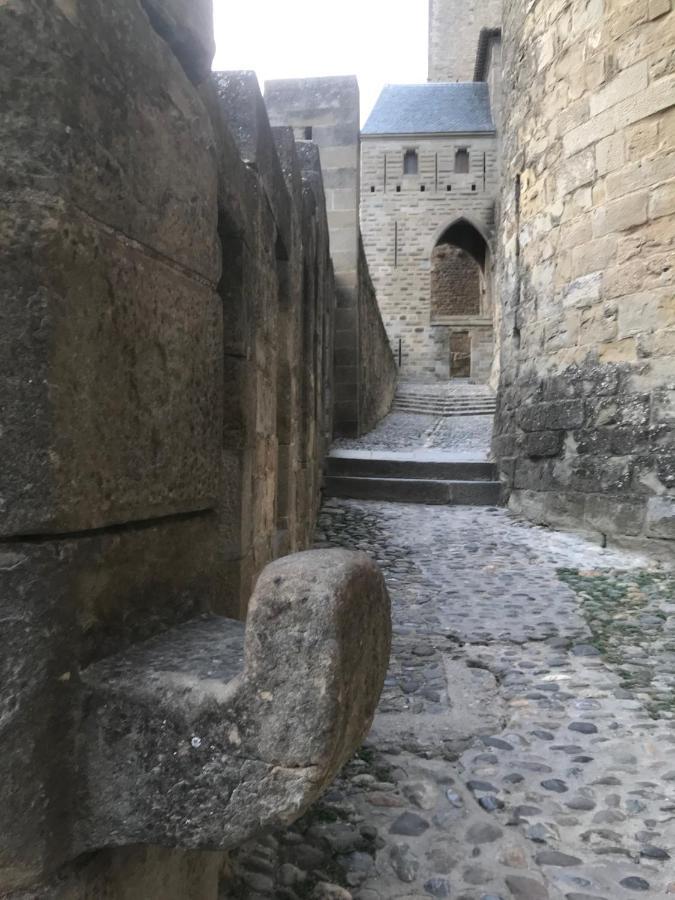 Le Clos Saint Michel Carcassonne Exterior foto
